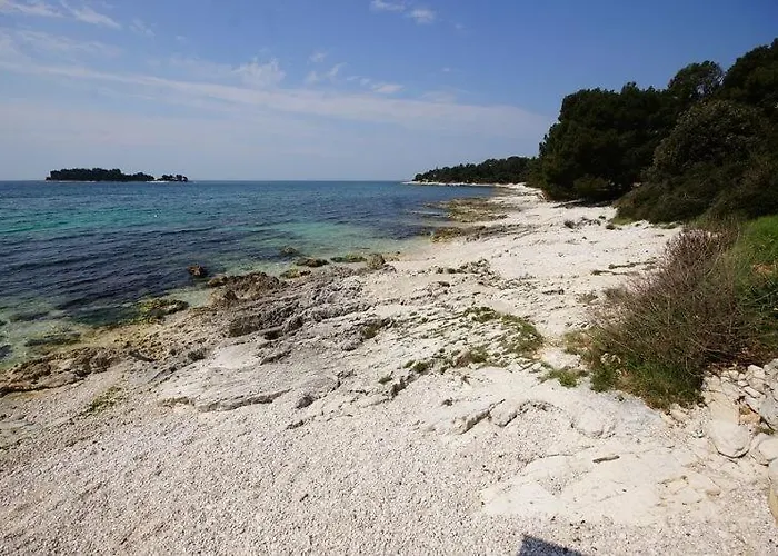 In With Terrace, Air Conditioning, W-lan 81-7 Affittacamere