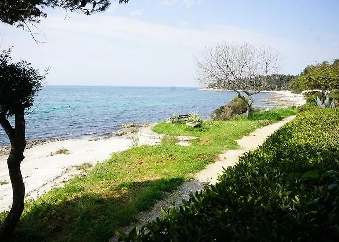 In With Terrace, Air Conditioning, W-lan 81-7 Affittacamere