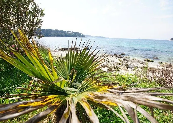 In With Terrace, Air Conditioning, W-lan 81-7 Affittacamere *