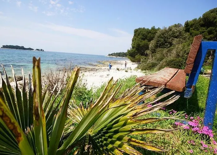 Affittacamere In With Terrace, Air Conditioning, W-lan 81-7 *